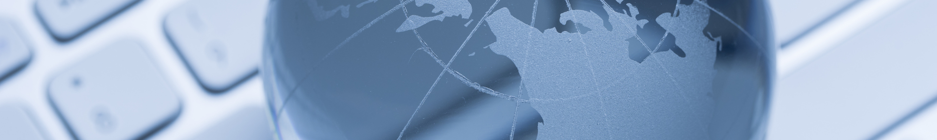 DOING BUSINESS IN INDIA E CINA