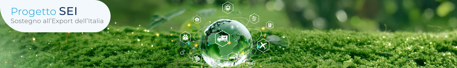 Export sostenibile: cos’è, perché conta e come avviare un piano strategico per la tua PMI