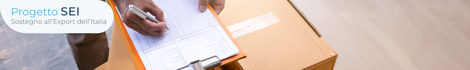 Operazioni doganali: guida pratica per aziende e professionisti